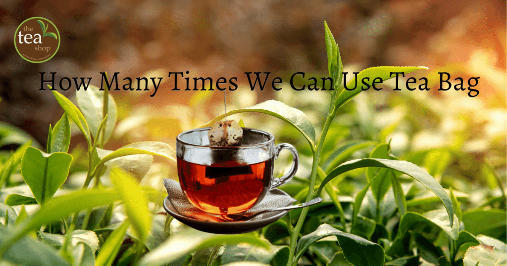 How Many Times We can Use Tea Bag Get Best Tea Online at Best Prices