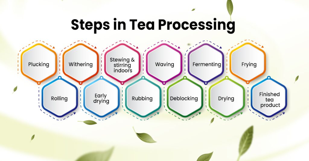 Steps in Tea Processing - The tea shop