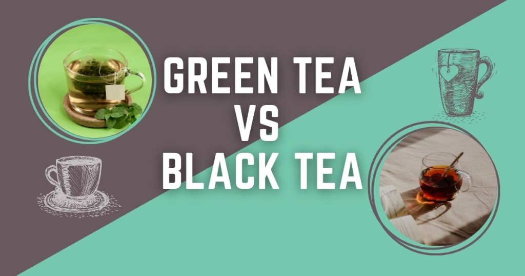 Green tea VS Black tea difference? Get Best Tea Online at Best Prices