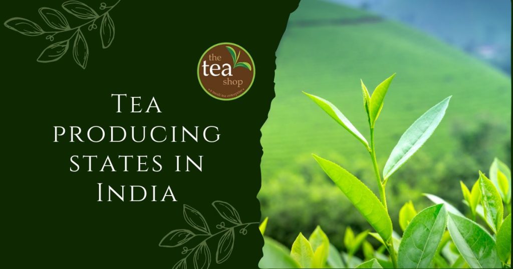 Tea producing states in India Get Best Tea Online at Best Prices From The Tea Shop